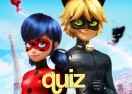 Quiz Miraculous: Você é a Ladybug ou o Cat Noir?
