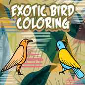 Colorir Pássaros Exóticos
