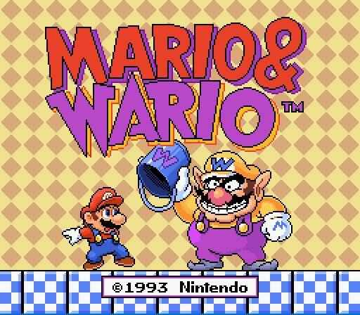 Mario & Wario Controller Hack