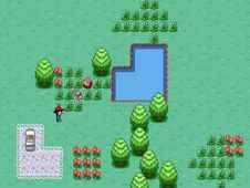 Pokemon: Forest Quest