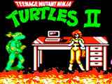 NES Game: Mutant Ninja Turtles 2